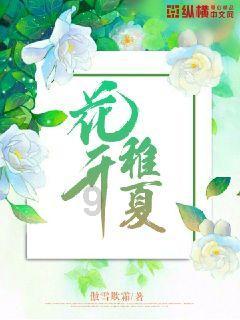 指挥官营救